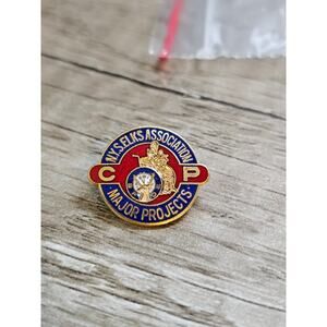 BPOE NYS Elks Association Pins Lot of 5 Major Projects CP Screw Back